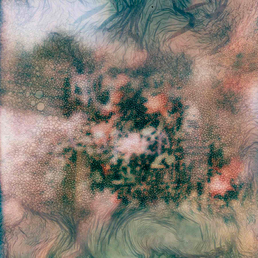 Flora Decay No. 2