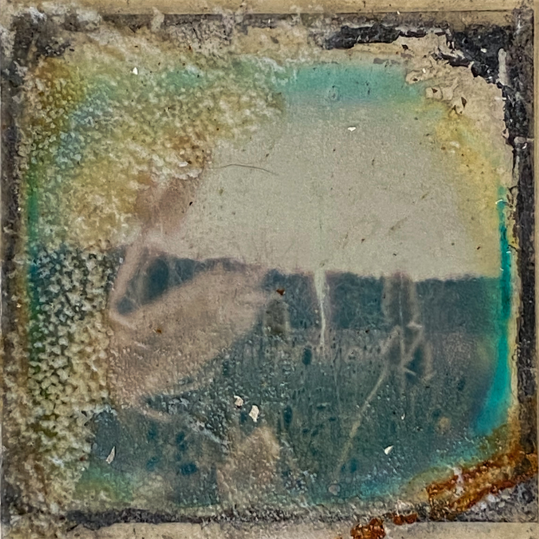 Flora No. 6
