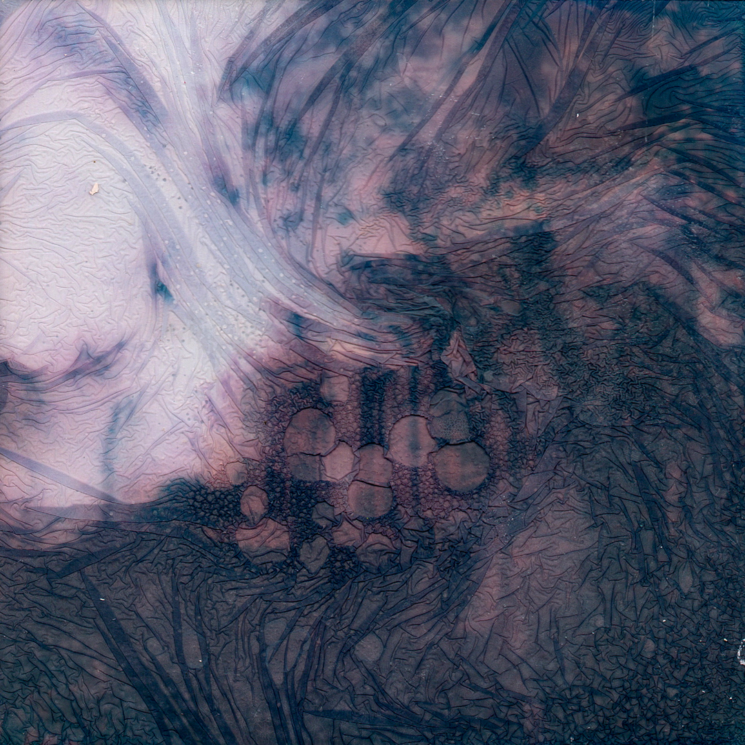 A Polaroid of Flagler college, St. Augustine, Florida. The image has been decayed using a chemical soak.