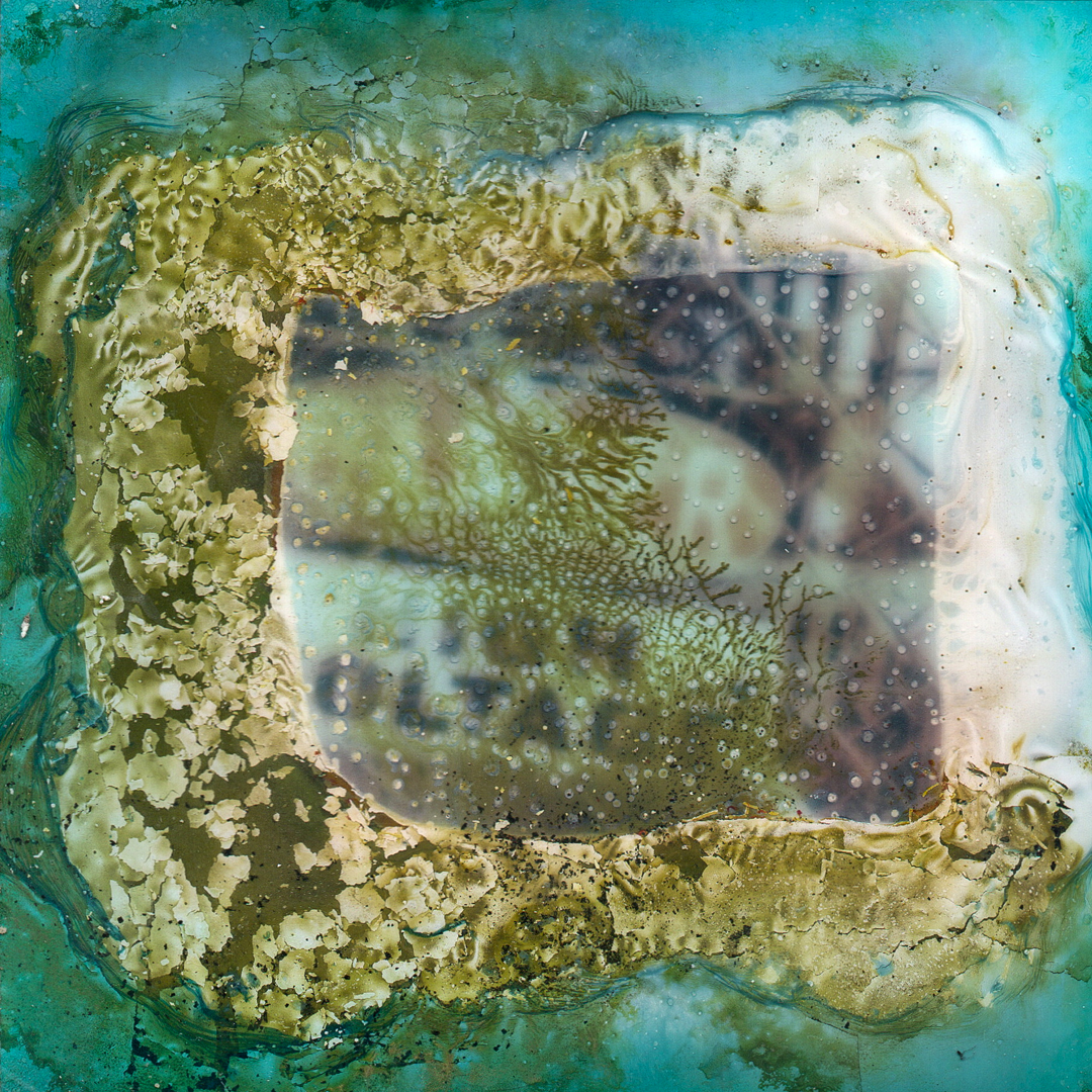 A Polaroid image that has been decayed through a chemical soak.